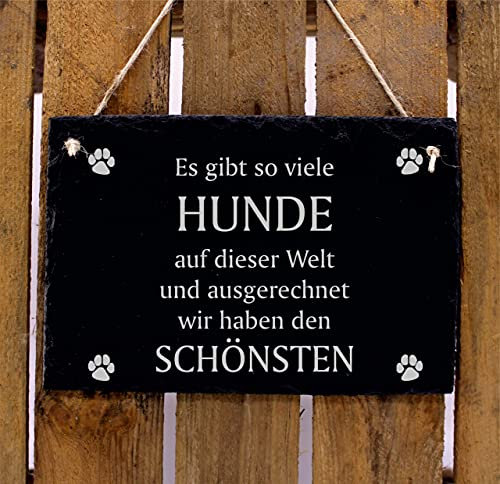 Schild mit Spruch Es gibt so viele Hunde auf dieser Welt und ausgerechnet wir haben den Schönsten - Schiefertafel 22x16cm | Dekolando