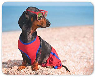Funny Dachshund Mouse Mat Pad - Beach Sausage Dog Animal Computer #14840