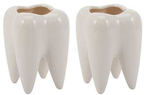 Huhebne 2X Zahnform Weisse Keramik Blumentopf Modernes Design Pflanzgefaess Zaehne Modell Desktop Topf Kreative Geschenk (Ohne Pflanzen)