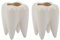 Huhebne 2X Zahnform Weisse Keramik Blumentopf Modernes Design Pflanzgefaess Zaehne Modell Desktop Topf Kreative Geschenk (Ohne Pflanzen)