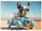 MyPuzzle Lustige Bulldogge fährt Auto - Premium 100 Teile Puzzle - MyPuzzle Sonderkollektion von Starnberger Spiele