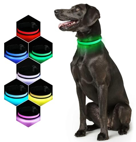 RUXAN Hundehalsband Leuchtend USB Aufladbar Regendicht 7 Farbwechsel Einstellbare LED Leichte Halsband Hunde für Nacht - Sicherheitshalsband mit blinkendem für Hunde, Katzen