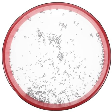 ibasenice Ozeanwellen-perlentrommel Sanftes Meeresschlaginstrument – ​​trommel Für Die Musikalische Entwicklung Von Kindern