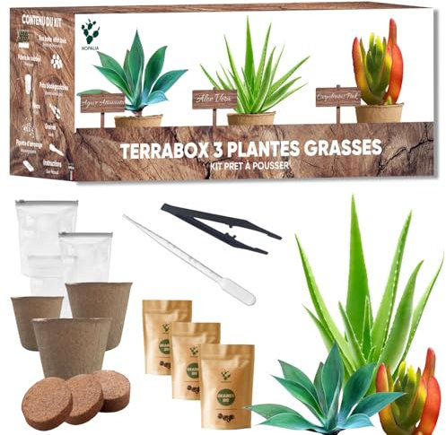 Kit Plantes Grasses & Aloe Vera à Faire Pousser – Succulentes Agave, Carpobrotus & Aloe Vera – Cadeau Écologique & Insolite – Mini Jardin DIY – Décoration Maison & Bureau – Made in France