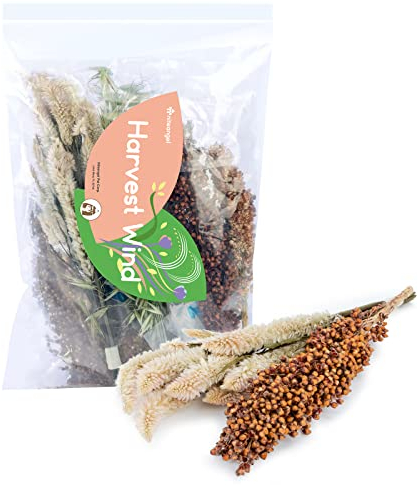 Niteangel Lecho Natural y Suave para Hámster: Decoración del Hábitat para Pequeños Animales como Hámsters Enanos Sirios, Gerbos, Ratones, Degús, Conejos u Otros Animales(Versión de Poema Natural)