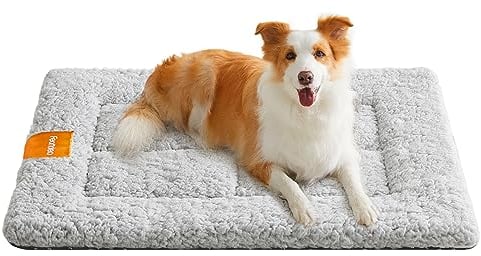 Feandrea Hundedecke, Haustier Decke, für Hunde, Katzen, 90 x 65 cm, L, maschinenwaschbar, trocknergeeignet, rutschfest, hellgrau PPB002G01