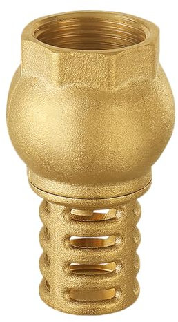 TopHomer Fußventil für Wasserpumpe, DN25 Messing Rückschlagventile mit Filterkorb für Tiefbrunnenpumpen, Pumpsysteme - 1
