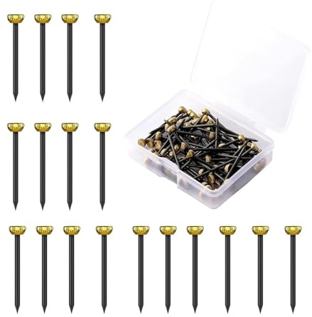 100 Pcs Picture Pins, Nails for Hanging Pictures, Wall Pins, Picture Hanging Nails, with Plastic Storage Box