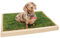 Real Grass Dog Toilet | Toilet Train A Puppy in 7 Days | Eco-friendly & Convenient | Vet & Dog Trainer Recommended | Don't use puppy pads, choose real grass for quicker & easier potty training.