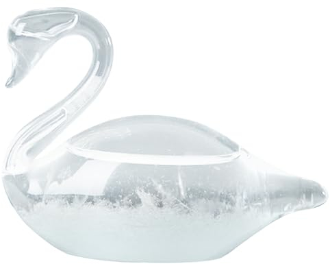 Sturmglas Kleidung Prädiktor, elegante Schwan -Sturmglas Wetter Dekorative Kristallglas Barometer Wetterstation Valentinstag Geschenke für Bürodesktop -Dekor, Sturmglas