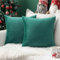 MIULEE 2er Set SAMT Weihnachten Kissenbezug Kissenhülle Dekorative Dekokissen Sofakissen Lendenkissen Wurfkissenbezug mit Verstecktem Reißverschluss Sofa Schlafzimmer 18x18 Inch 45x45 cm Malachitgrün