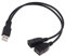 Aukson B39 USB 2.0 Splitter 1 zu 2, A Stecker auf 2X Buchse, 30cm USB Adapter für Datenübertragung und Aufladung, Verlängerungs- und Verteilerkabel