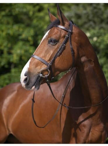 Riding World Trensenzaum Nasenriemen Französische Cob Gelbbraun