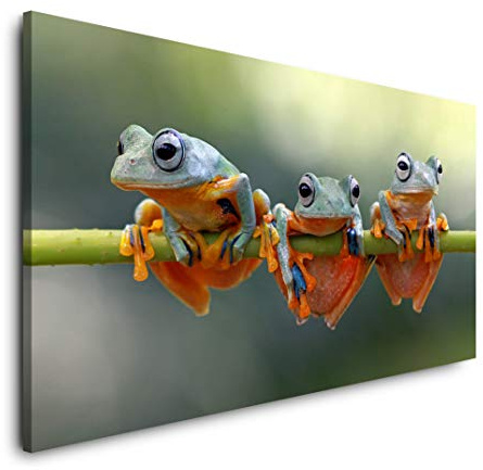Frösche auf Stängel 120x 60cm Panorama Leinwand Bild XXL Format Wandbilder Wohnzimmer Wohnung Deko Kunstdrucke