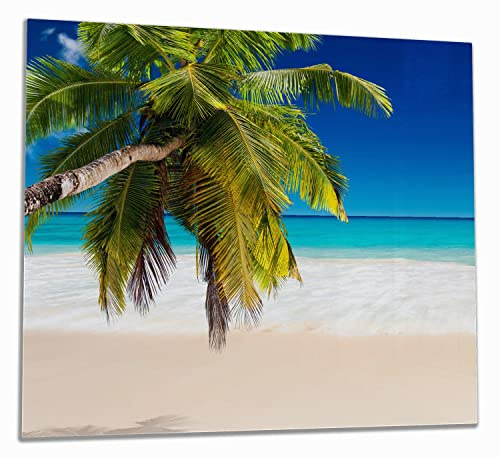 Wallario Herdabdeckplatte/Spritzschutz aus Glas, 1-teilig, 60x52cm, für Ceran- und Induktionsherde, Südseestrand in der Karibik mit Palme