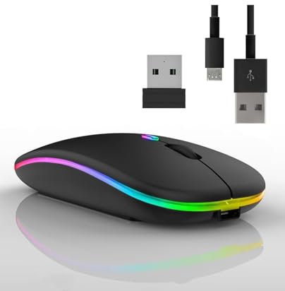 Souris sans Fil Rechargeable Souris Bluetooth Ergonomique silencieuse et rétroéclairée de 7 Couleurs avec récepteur USB 2,4GHz (Noir)
