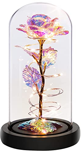 HilyBony Beauty and The Beast Rose in a Glass Dome with LED Fairy Lights Colorful Galaxy Rose Gifts for Women - Valentine's Day Mother's Day Birthday Christmas