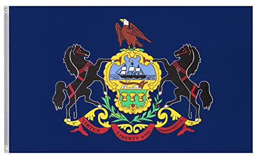 MUWO Flagge America Edition 90 x 150 cm, doppelseitige Gartenflagge, wetterfeste Fanflagge, Fußballflagge Polyester der 50 Vereinigten Staaten, USA-Bundesstaaten mit Ösen (Pennsylvania)