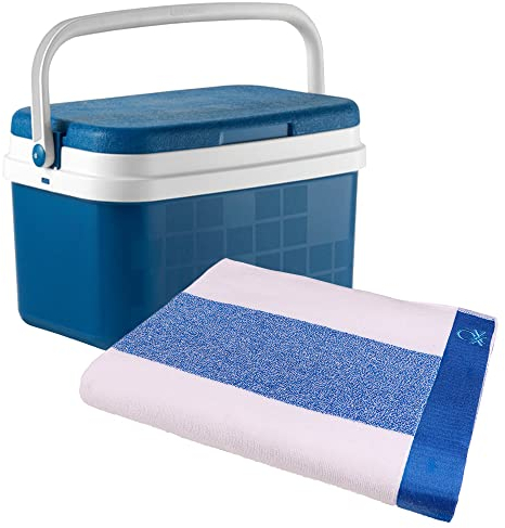 WELL HOME MOBILIARIO & DECORACIÓN Nevera 16l azul + toalla de playa 90x160cm 450gsm terry 100% algodon azul