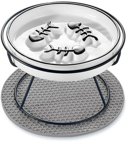 TRUNDISAN Elevated Cat Slow Feeder Bowls,Whisker Friendly Cat Bowl, Ceramic Raised Slow Feeder, Anti Vomit Promotes Digestion Bowls for Dry and Wet Food