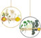 Hengxinchen 2 Stück Trockenblumen Kranz 20CM, DIY Natur Trockenblumenkranz Ring, Türkranz Trockenblumen Blumenkranz Deko Metallring Türkranz Deko Fensterdeko Hängend Tür Wand Dekoration
