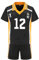 AIPILEI Haikyuu Cosplay-Kostüm Hinata Shoyo Cosplay Outfit Shirt Shorts Karasuno High School Team Volleyball Uniform Anzüge Trainingsanzug für Teenager Erwachsene, Nr. 12, L