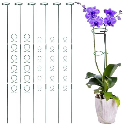 6Pcs Plant Support Stakes, 90cm Garden Single Stem Plant Support Stakes, Adjustable Plant Sticks Support with 30 Orchid Clips for Peonies Tomatos Rose Plant Climbing