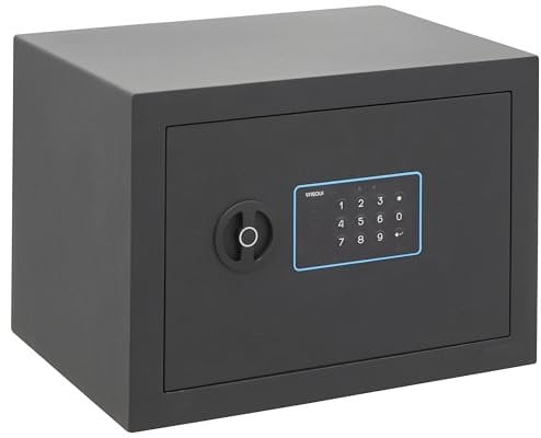 ARREGUI Blue 650120 Caja Fuerte de Acero con Cerradura Electrónica | 25x35x25 cm | 18 L | Caja de Seguridad para Casa y Hogar | Teclado con Códigos Programables | con Llave de Emergencia | grafito
