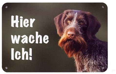 Deutsch Drahthaar Braunschimmel „Hier wache ich!“ Hundeschild – Jagdhund-Warnschild für Gartenzaun, Gartentor und Haustür – Aluminium-Verbundmaterial – 24 x 16 cm