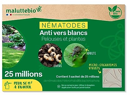 Nématodes HB contre les Vers Blancs (25M) – Produit naturel et 100% efficace pour éliminer les vers blancs et les hannetons du jardin, pelouses et plantes – Sans produit chimique et sans danger