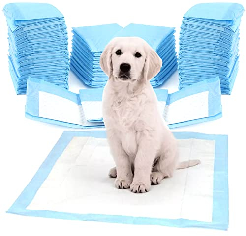 ZOLTA Hunde Toilettenmatten 60x40cm - Trainingspads für Hunde Set 100 - Einweg-Inkontinenzeinlagen - Hygienematte für Haustiere - Hundezubehör Zuhause und Unterwegs