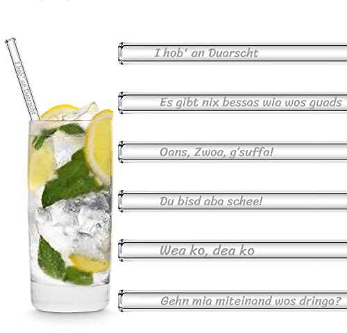HALM Glasstrohhalme Bayerische Sprüche Edition 6x 20 cm lang gravierte Lustige Party Trinksprüche Glas Strohhalme Glastrinkhalme Oktoberfest München Trinkhalme
