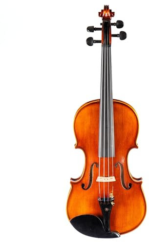 4/4 Geigen Set Vivace 41 für Anfänger, Fichtendecke, Ahornboden, Ebenholzgriffbrett, Jujube-Garnitur, Brasilholz-Bogen, inklusive passgenauem Etui, spielfertig abgerichtet