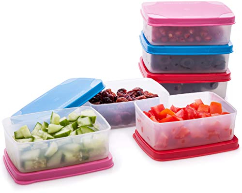 SIGNORA WARE auslaufsichere Frischhaltedosen - Luftdichte, mikrowellengeeignete kleine Aufbewahrungsbox mit Deckel - Mini Camping Plastik Dosen Set für Soßen, Dips und Gewürze (145ml)