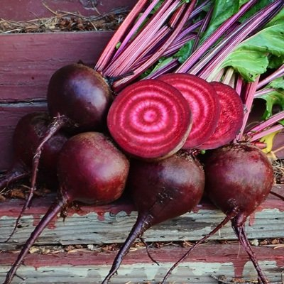 5 grams of semi lutz green leaf conventional and organic beet