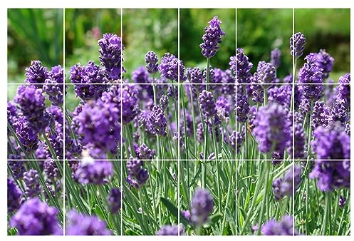GRAZDesign Fliesenaufkleber Bad & Küche 15x20cm - 18 Stück | Motiv Lavendel wasserfeste & selbstklebende Klebefliesen | Fliesenfolie Fliesenbild 90x60cm