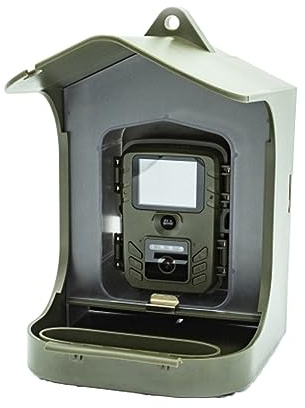 Bird Watching Camera Surveillance For Small Animals With Motion Sensor Feeder Outdoor