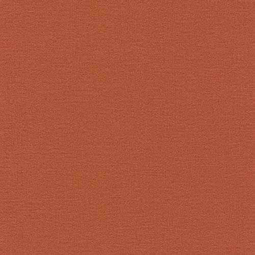 Rasch Tapeten Vliestapete (universell) Rot 10,05 m x 0,53 m Salsa 449051