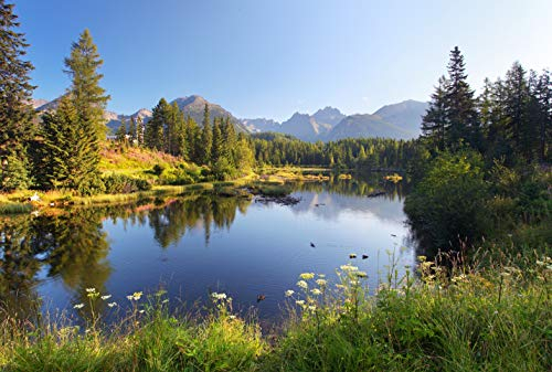 SEE Fototapete VLIES-350x260 cm (967A)-Natur Landschaft Berge Gebirge Alpen Blumen Wald Bäume Wandtapete-Inkl. Kleister-Vliestapete Bild Dekoration Wand-Dekor Moderne Motiv-Tapete Panorama Poster XXL