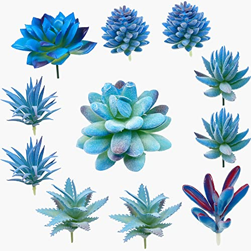 Cayway 11 Stück Sukkulenten Künstlich Blau Künstliche Sukkulenten Blumen Pflanzen Unfotted Faux Blume Sukkulenten, Gelegentliche Künstliche Sukkulenten für Heimdeko Innenbereich Garten