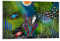 Unterwasserwelt Fische und Wasserpflanzen Abstrakte Kunst Poster Vintage Poster Wandkunst Leinwand Poster Raumdekoration Ästhetische Poster Gedruckt Dekoration Poster Wohnzimmer Veranda Dekoration