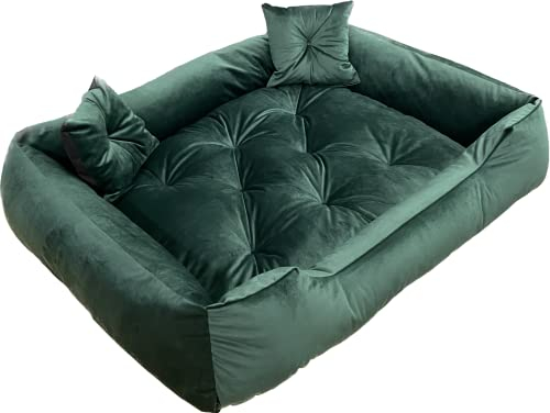 Dogs4Life Hundebett Velours XXL 135 x 100 cm | Hundebett für sehr große Hunde | Orthopädisch | Hundekissen | Waschbar | Outdoor | Mit Rand | Wasserabweisend (XL, Grünes Velours)