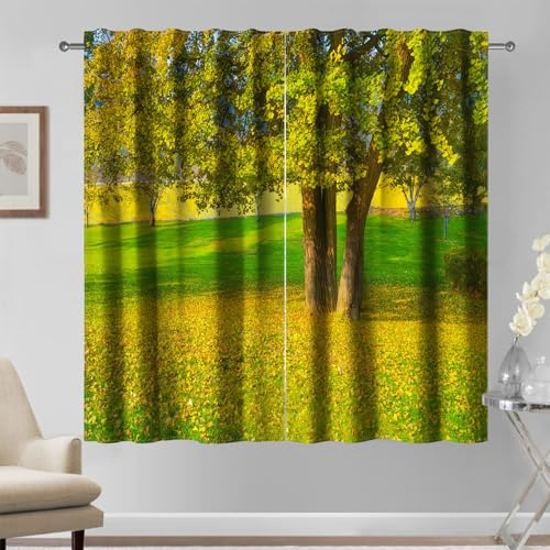 Kzzfqxb Tende 117x229cm 2 Pannelli, Grandi Alberi Lussureggianti Ombra Erba Verde Foglie Cadute Picnic Prato Parco Scenario Finestre Tendaggi, Decorazione Tranquilla per Camera da Letto Soggiorno