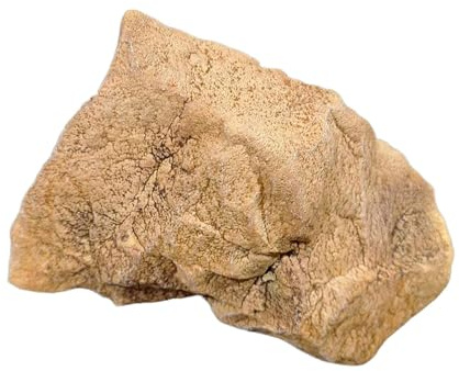 Gralara Aménagement Paysager Extérieur en Pierre Artificielle, Fausse Roche pour L'extérieur du Bureau de L'hôtel