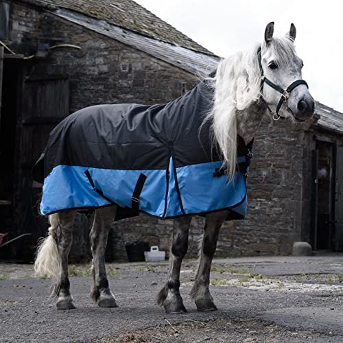 Equitack 1200 Denier Pferdedecke Outdoor Winterdecken Weidedecke mit 100 G Füllung Highneck Schwarz/Baby blau 155cm