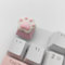 Elacgap Personalized Cute Pink Keycap Handmade OEM Profile DIY Custom Keycap for Mechanical Keyboard MX Switch (Cat Paw)