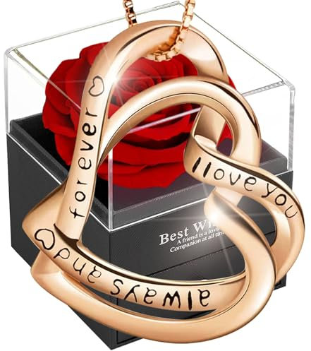 Sueño rojo rosa eterno con joyas de plata 925, doble corazón collar mujer caja de rosas, colgante con rosa conservada, regalo para ella la Navidad, San Valentín, día de la madre, cumpleaños