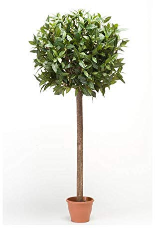 artplants.de Kunstbaum Lorbeer Kugel DRODY, Echtstamm, Früchte, 150cm - Deko Lorbeerbaum - Kunststoff Lorbeer