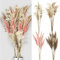 Cepewa Pampasgras 4 Farben 12er Set │ Dekogras H90-100cm │ Trockenblume Wedel Kunstgras (1 x 12er Set Pampasgras 90-100 breit)