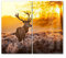 DEQORI Herdabdeckplatten Glas | 2er Set 60x52 cm | Motiv Hirsch am Wintermorgen | Ceranfeld Abdeckplatten in Küche | Herd-Abdeckungen universal | Glasplatten & Schneidebretter für Kochplatte
